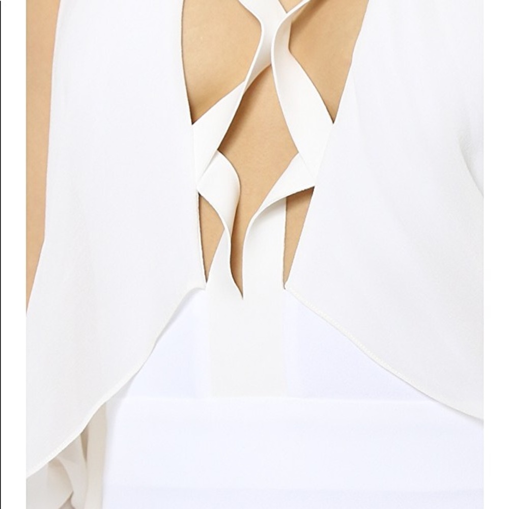 dion lee - Picture 5 of 8